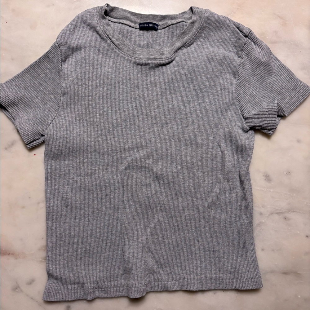 Brandy Melville Gray Ribbed Short Sleeve Top